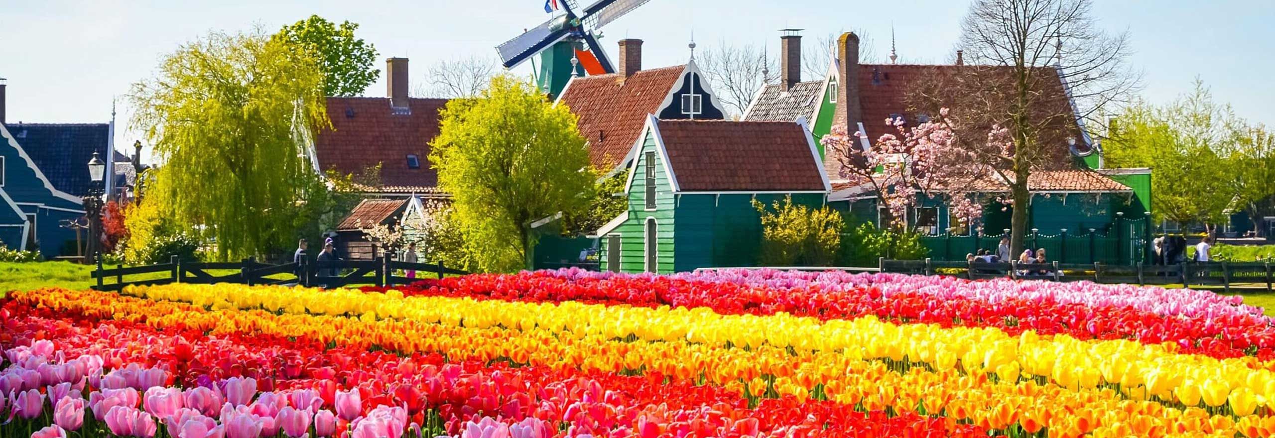 The Netherlands and Belgium